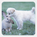 Search for dog ear stickers Animal