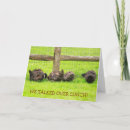 Search for wildlife supporters cards Bird