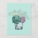 Search for succulent postcards Plant