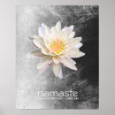 Search for namaste lotus posters Flower