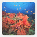 Search for fish image stickers Underwater