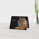 Search for big note cards Jungle