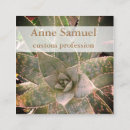 Search for succulent photography Botanical