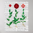 Search for carnation posters Italian