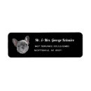 Search for french bulldogs return address labels Puppy