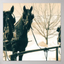 Search for amish posters Iowa