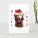 Search for duck christmas cards Animals