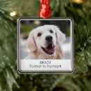 Search for pet memorials Cat memorial