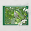 Search for mousepad postcards Birds