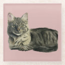 Search for hair coasters Cute