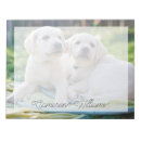 Search for cutest photography Cute baby animal