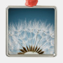 Search for dandelion christmas tree decorations Weed