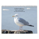 Search for bird calendars Seagulls