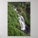 Search for hilo posters Photograph