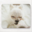 Search for sofa mouse mats Cute