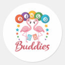 Search for bingo buddy Player