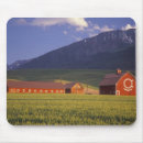 Search for valleys mouse mats Field