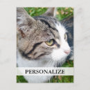 Search for personalisation vertical postcards Your image here