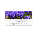 Search for irises labels Nature