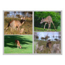 Search for deer nursery decor Doe