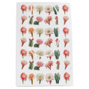 Search for succulent gift bags Flowers
