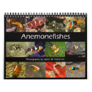 Search for clown calendars Aquarium