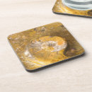 Search for fossil coasters Paleontology