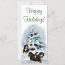 Search for bernese mountain dog christmas cards Berner