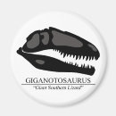 Search for carnivore magnets Extinct