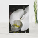 Search for silks cards For her