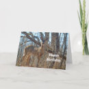 Search for wildlife birthday cards Woods