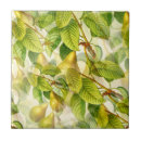 Search for pear tree tiles Fruit