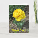 Search for yellow tulips thank you cards Bloom
