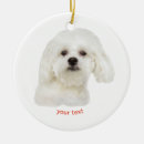 Search for bichon frise christmas tree decorations Cute
