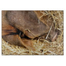 Search for pig chopping boards Cute