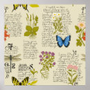 Search for butterfly pattern art Vintage