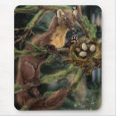 Search for pines mouse mats Nature