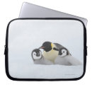 Search for penguin laptop cases Nature