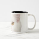 Search for business cat mugs Feline