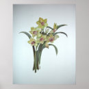 Search for lent posters Flowers