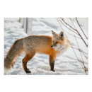Search for fox hunting posters Landscape
