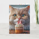 Search for cat and cupcake birthday cards Kitty