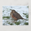 Search for garden birds postcards Gardens