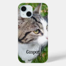 Search for cat photo iphone cases Cute