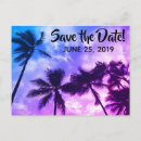 Search for destination save the date postcards Palms