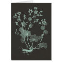 Search for charcoal grey postcards Florals