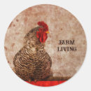 Search for chicken poultry stickers Vintage