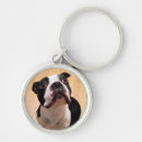 Search for bostons key rings Puppies