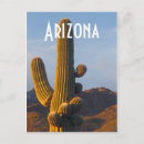 Search for sunlit postcards Photography