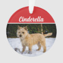 Search for dog by breed christmas tree decorations Pets